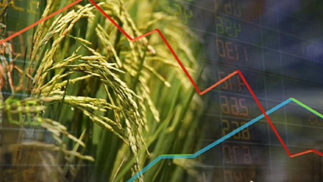 ส่งออกข้าวไทย