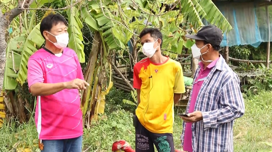 ชาวบ้านฮือฮาล้อมจับปลาช่อนยักษ์ตัวใหญ่กว่าคน