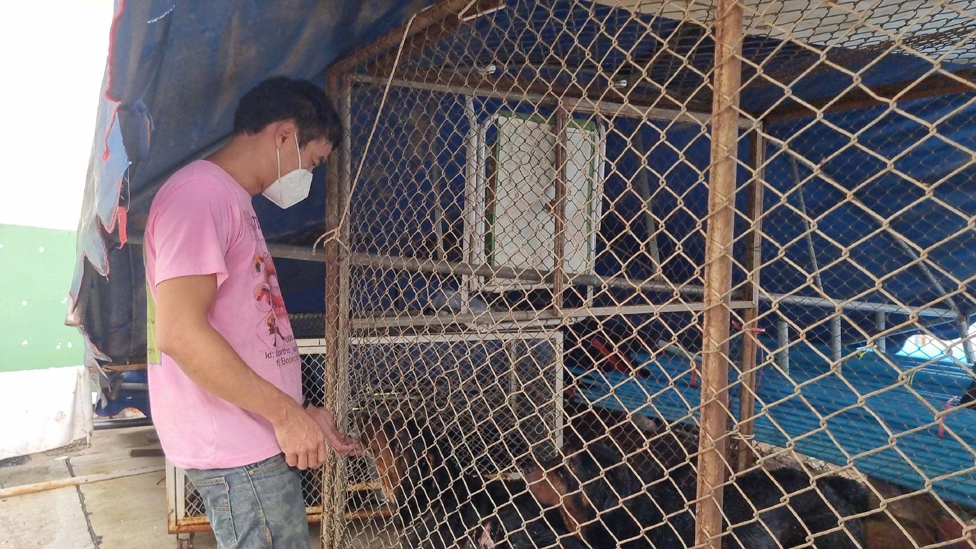 ปศุสัตว์ย้ายหมาร็อตไวเลอร์ 6 ตัว ปลดล็อกความหวาดระแวงชาวบ้าน