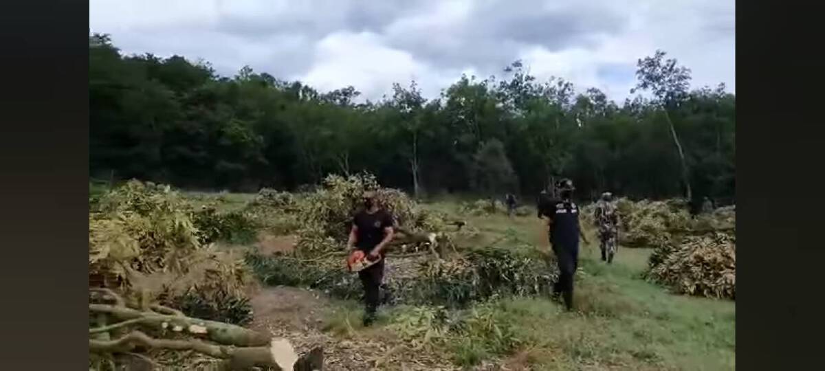 เด้งหัวหน้าอุทยานเขาชะเมา หลังป่าไม้ตัดต้นทุเรียนชาวบ้าน
