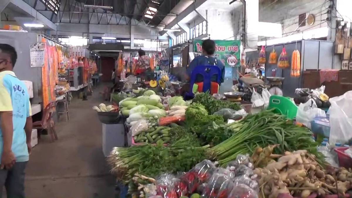เตือนผักแพง!เกษตรกรแห่ปลูกหวั่นล้นตลาดราคาตกซ้ำ