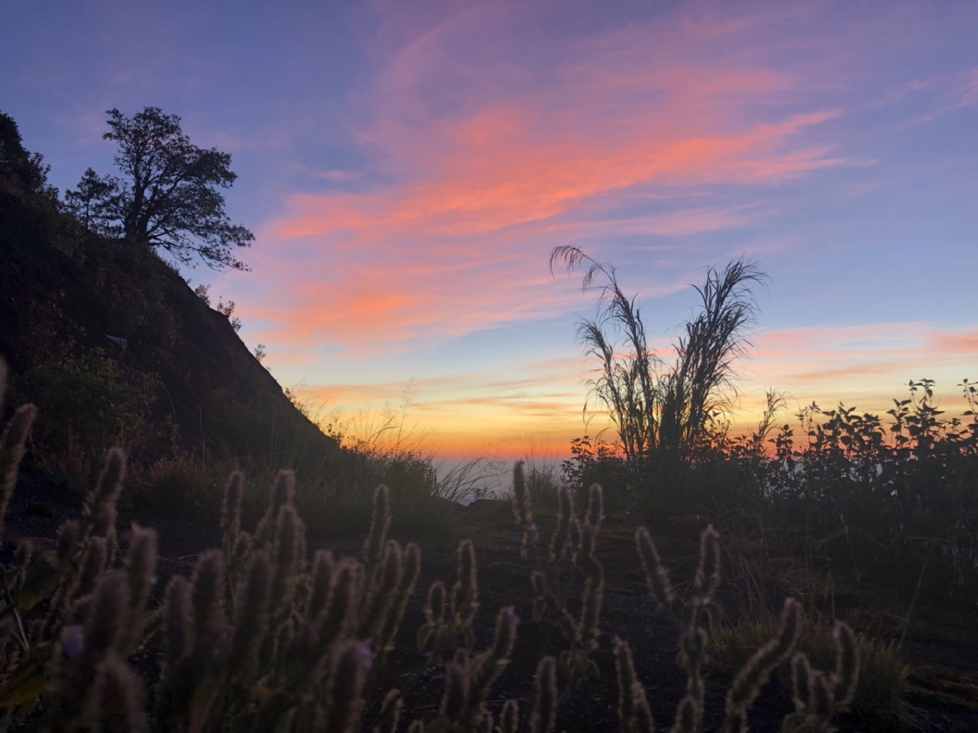 ดอยอินทนนท์”เปิดพรุ่งนี้ประกาศกฎเหล็กสัมผัสลมหนาวแบบปลอดภัย