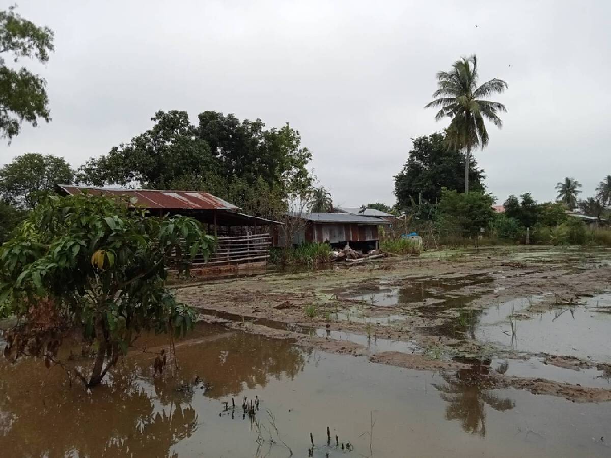 ปภ.เขต 5 โคราชเร่งสูบน้ำท่วมขังกักเก็บสระผลิตประปา