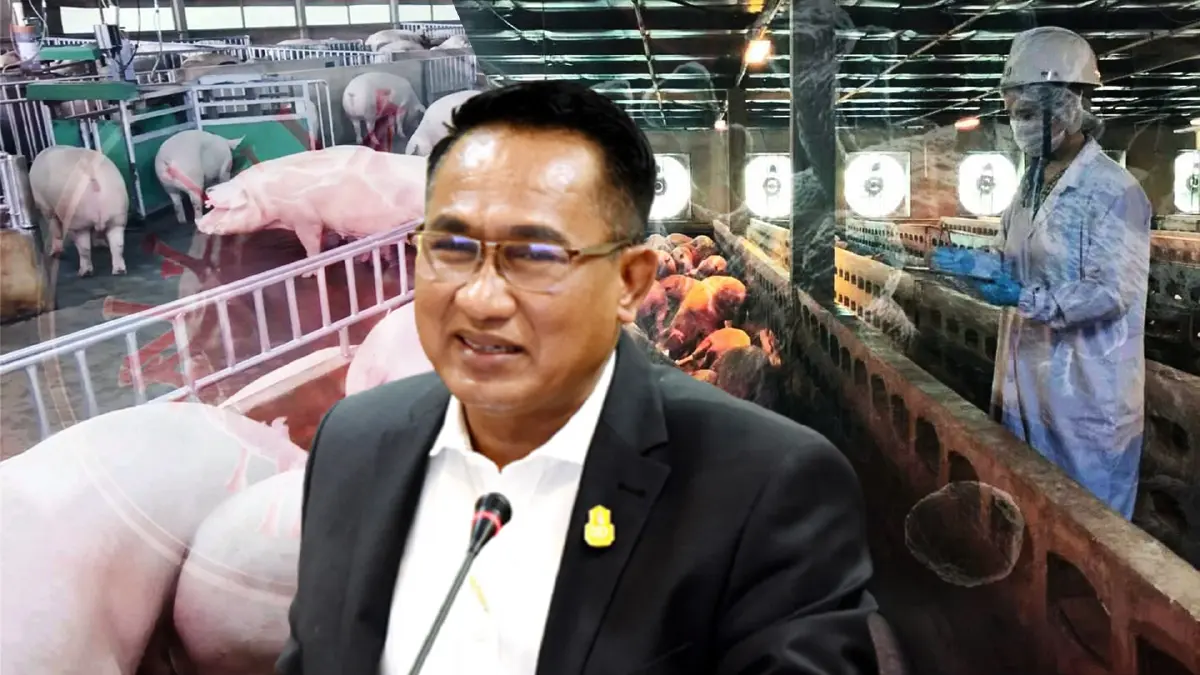 วอนอย่าตกใจ โควิดติดหมูสู่คน อธิบดีปศุสัตว์ ย้ำ ตรวจเชิงรุกทุกขั้นตอน