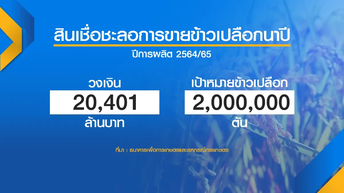 ธ.ก.ส.ทุ่ม 3.5 หมื่นล้านช่วยสินเชื่อชาวนา