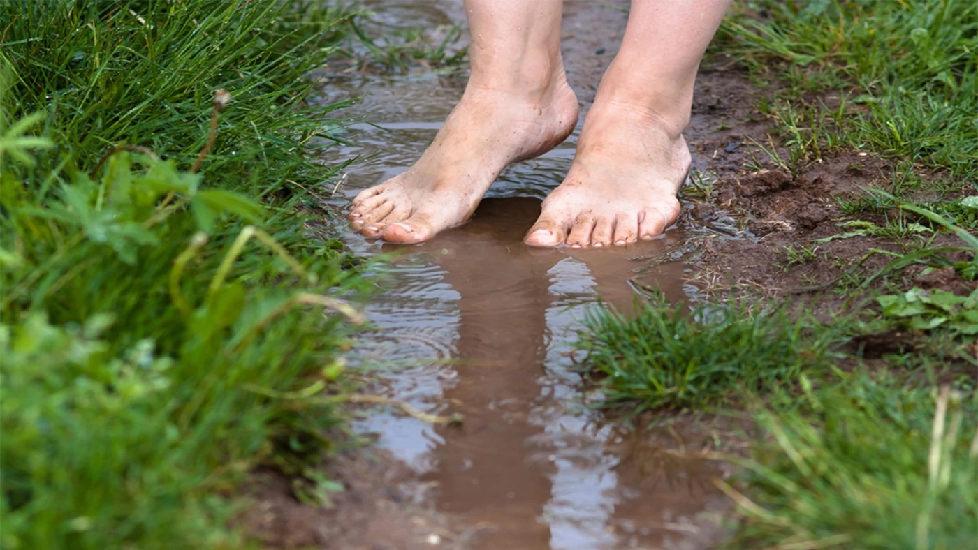 กรมควบคุมโรคเตือน ช่วงนี้ระวังป่วย "โรคเมลิออยโดสิส"