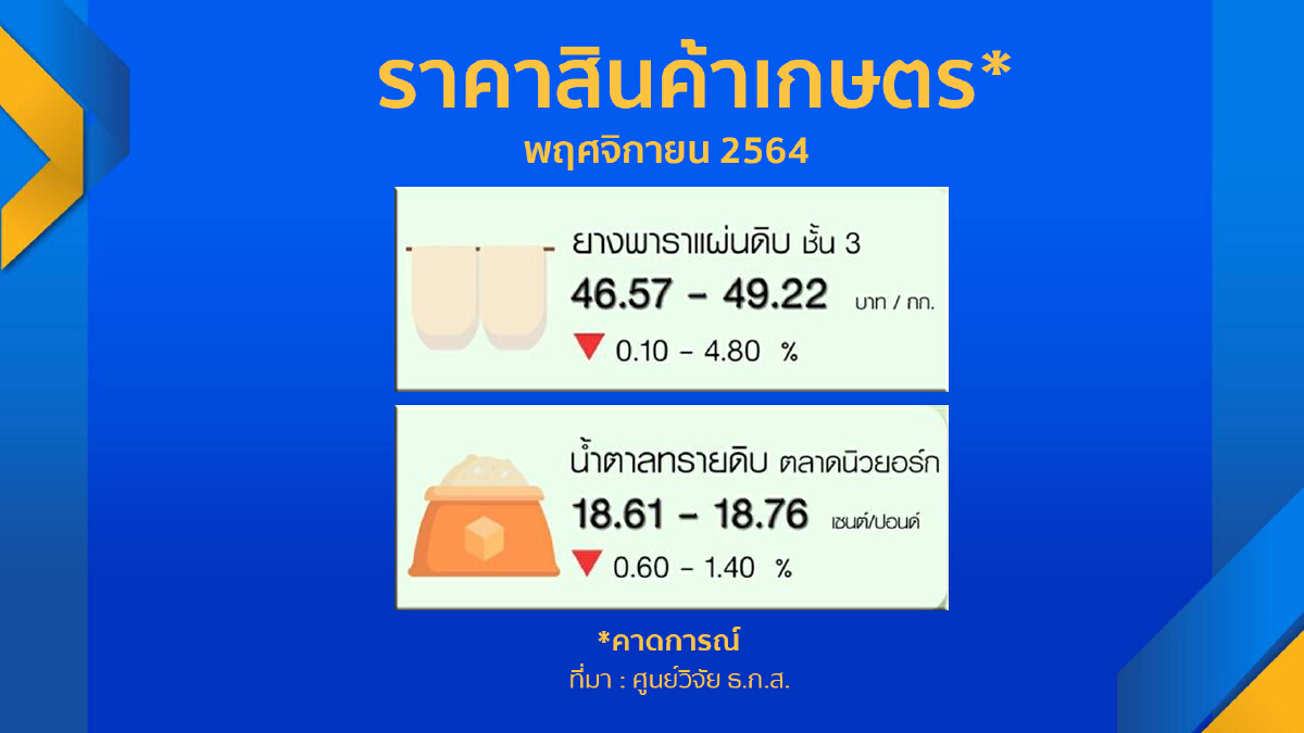 ‘ข้าว-ยางพารา‘ ราคาร่วงเดือนพฤศจิกายน