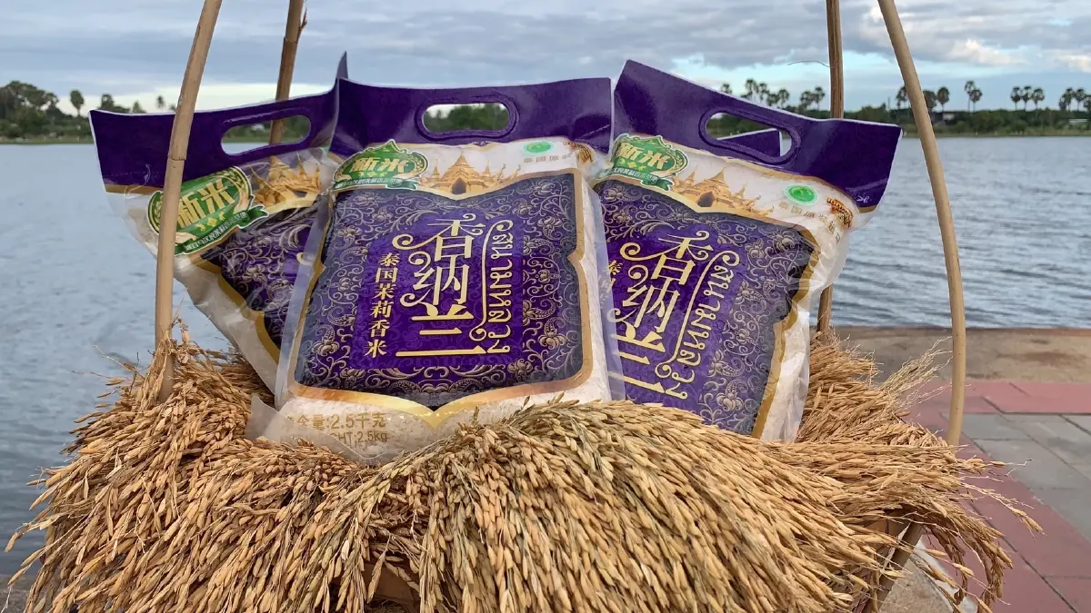 นักธุรกิจจีน เจรจาซื้อข้าวหอมมะลิส่งออก1หมื่นตัน