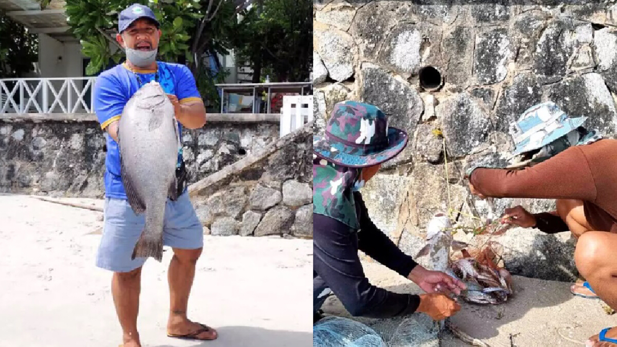ชาวบ้านแห่จับสัตว์ทะเลหาดหัวหิน หลังเกิดปรากฏการณ์ "น้ำทะเลเบียด"
