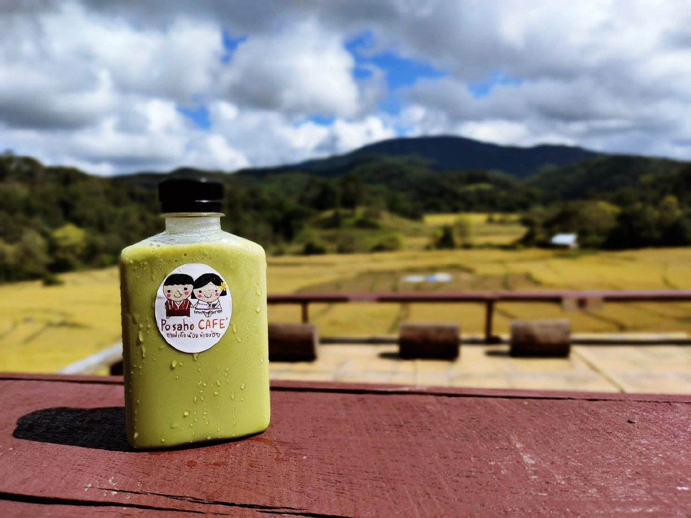  วิวสวย เครื่องดื่มดี ที่“Posaho Café ”กาแฟเด็กน้อยทำอร่อย