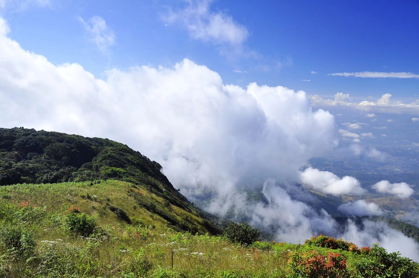 เตรียมเสื้อกันหนาว ! “กรมอุตุฯ” เผย 7-13 พ.ย. อุณภูมิลดฮวบ 7 องศา