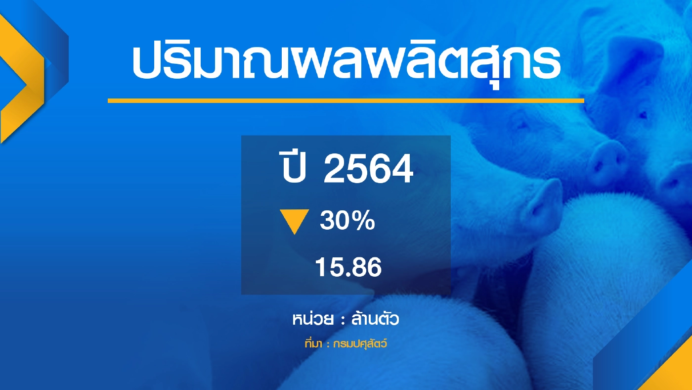 พาณิชย์ขอผู้ผลิต ‘ตรึง‘ ราคาน้ำมันปาล์ม