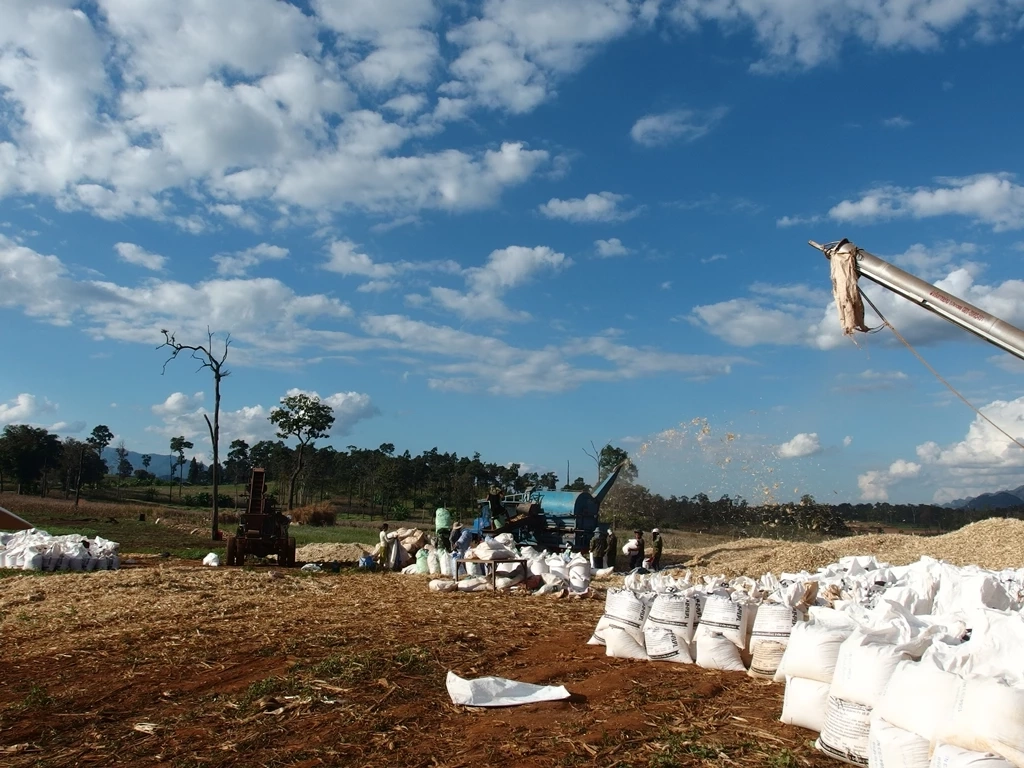 ผู้ผลิตอาหารสัตว์วอนกำหนด GAP เป็นมาตรฐานขั้นต่ำสินค้าเกษตร