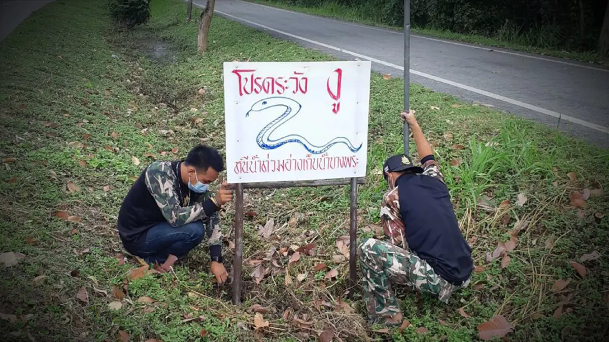 ภาพ : กรมอุทยานแห่งชาติ สัตว์ป่า และพันธุ์พืช