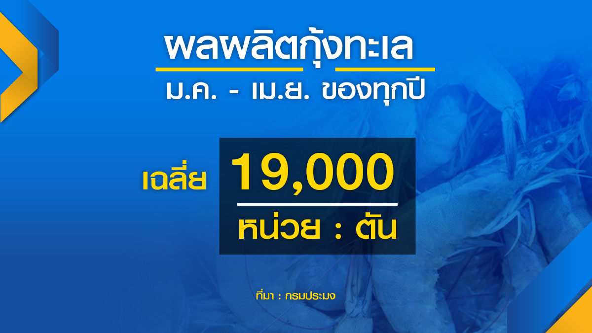 ประมงยันนำเข้า ‘กุ้งทะเล‘ ไม่กระทบเกษตรกรไทย