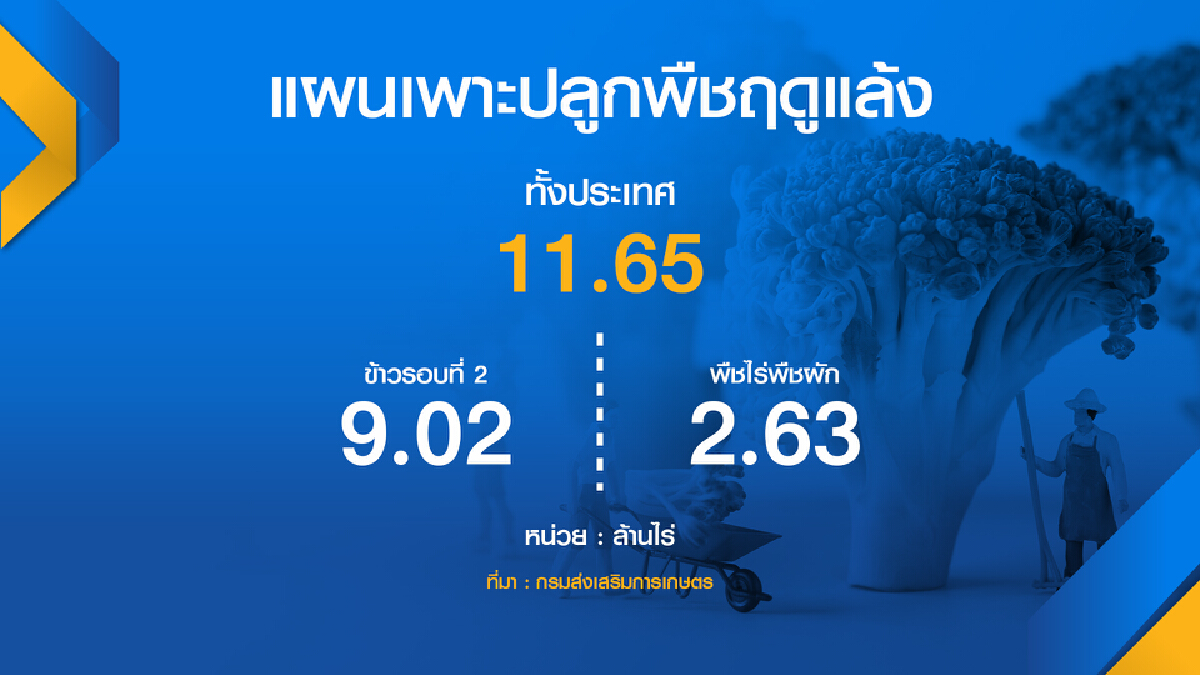 เกษตรฯ กางแผนเพาะปลูกพืชฤดูแล้ง 11.65 ล้านไร่