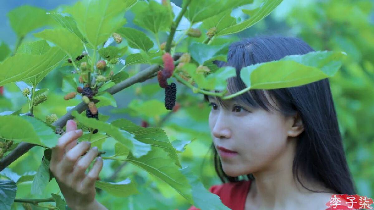 ยูทูบเบอร์สาวชาวจีนหายหน้า 3 เดือน หลังโพสต์คลิปสุดท้าย