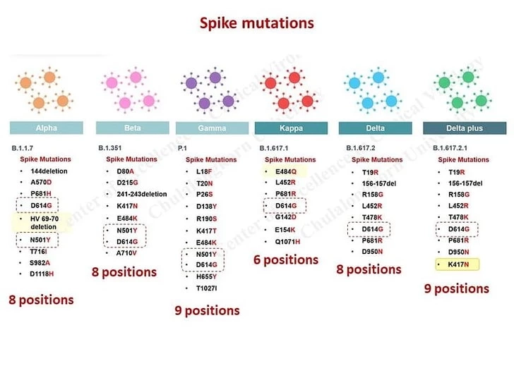 WHO ยังไม่ฟันธง "โอไมครอน" แพร่เชื้อง่าย - ป่วยหนักขึ้น รอสรุปอีกครั้ง