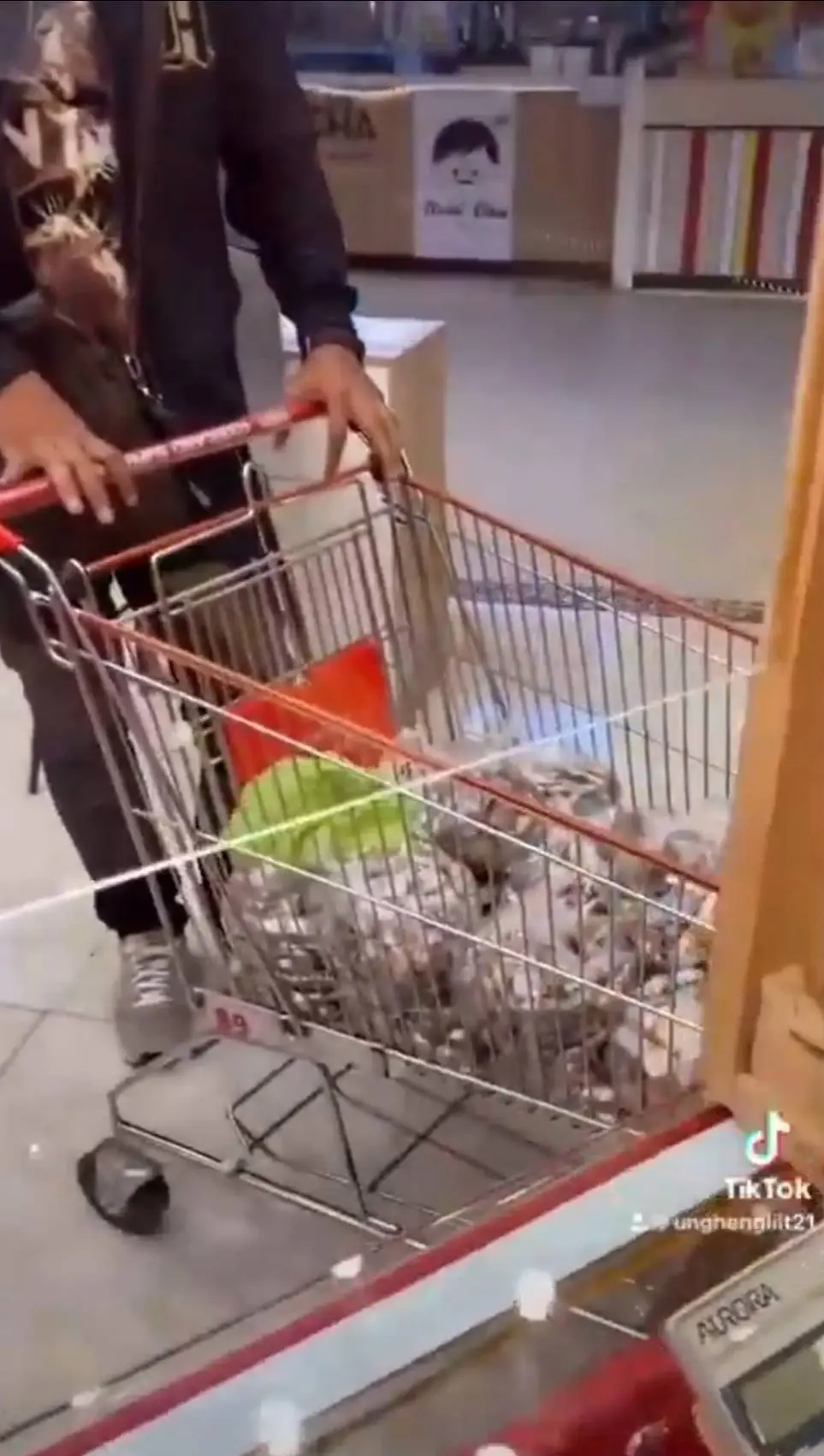 ฮือฮา..สามีภรรยาขายกล้วยทอด หอบเงินเหรียญ 1.2 แสนซื้อทองคำ