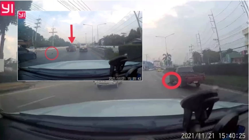 ศาลสั่งจำคุก 1 เดือน ปรับ 5 พันบาท ลุงโยนลูกสุนัขทิ้งถนน