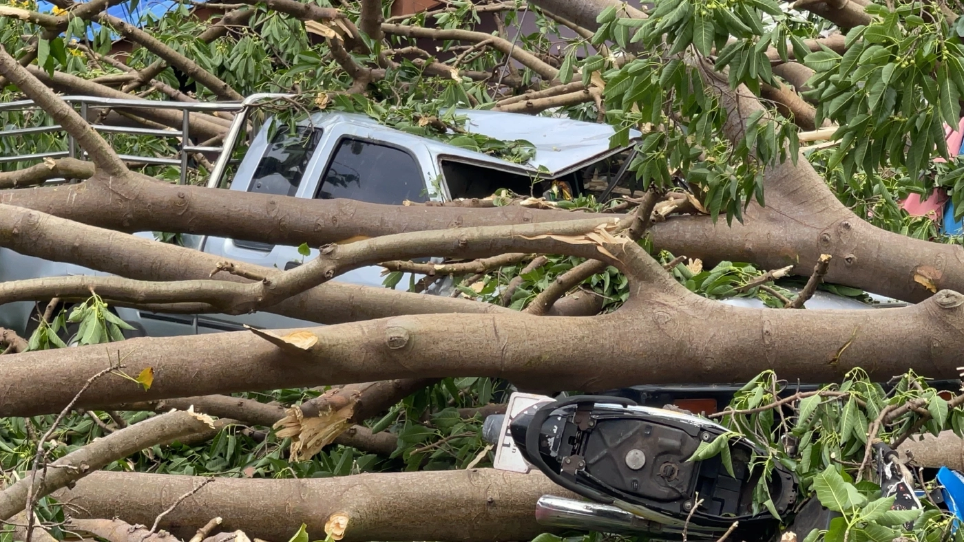 ลมกระโชกแรง กิ่งต้นกระเหรี่ยงอายุ 100 ปีหักทับพ่อลูกวัย 2 ขวบดับคาที่