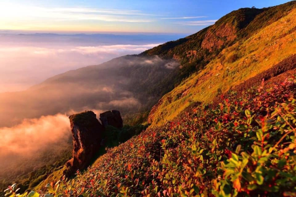 ดอยอินทนนท์”เปิดพรุ่งนี้ประกาศกฎเหล็กสัมผัสลมหนาวแบบปลอดภัย