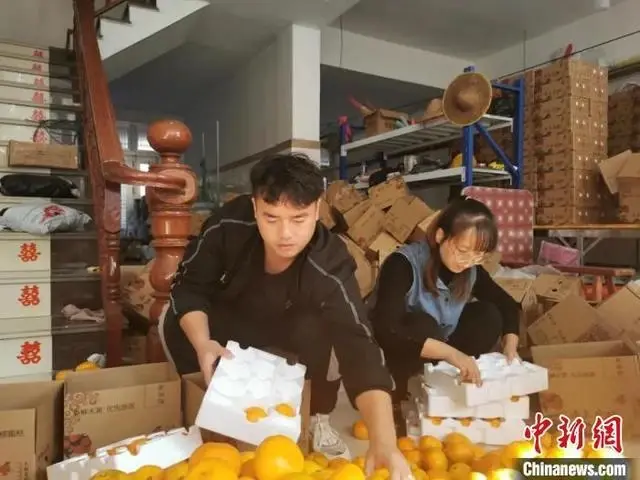 "ส้มช่วยชาติ" ทำยอดขายพ่อค้าหนุ่มจีนพุ่งกระฉูด