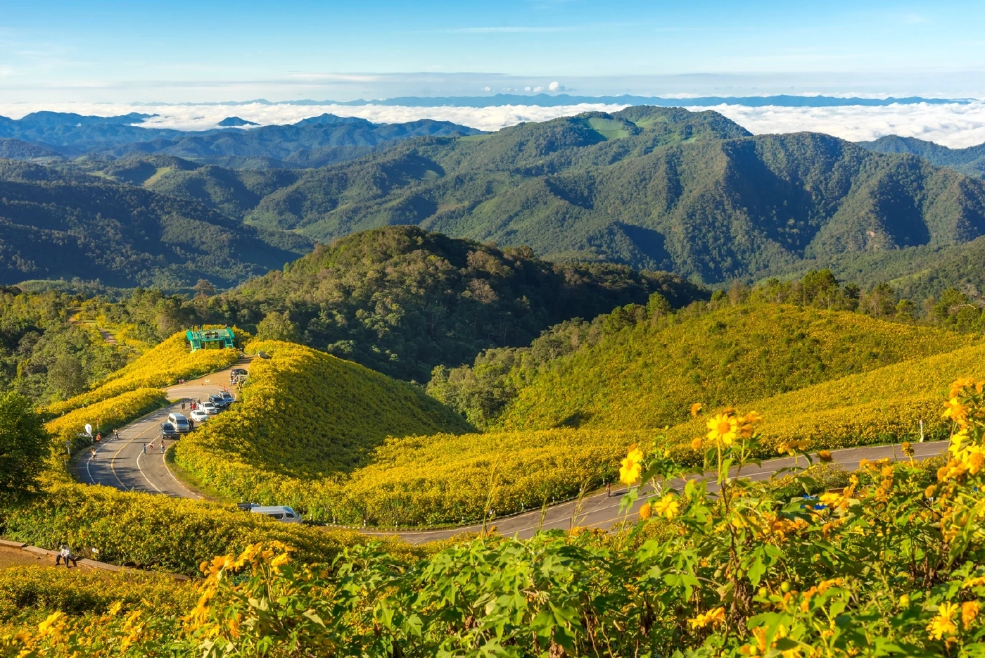 รับลมหนาว “ใหม่ ดาวิกา” โพสต์ภาพสุดน่ารักกับทุ่งบัวตอง ดอยแม่อูคอ