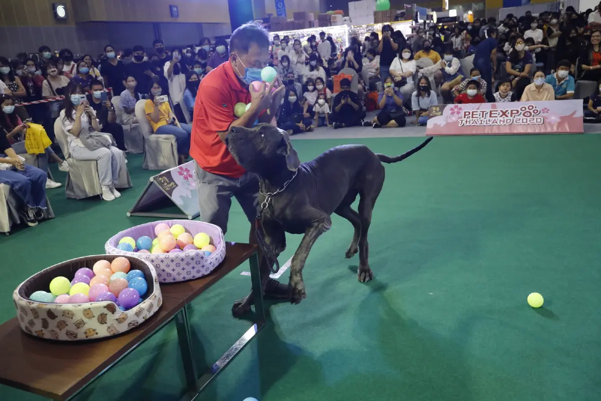 สิ้นสุดการรอคอย "Pet Expo Thailand 2021"