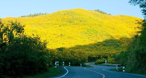 “ขับรถเที่ยว” หน้าหนาว เส้นทางสวย สีสันละลานตา