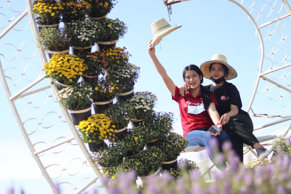 ชวนชมทุ่งดอกแองเจโลเนียบานรับลมหนาว
