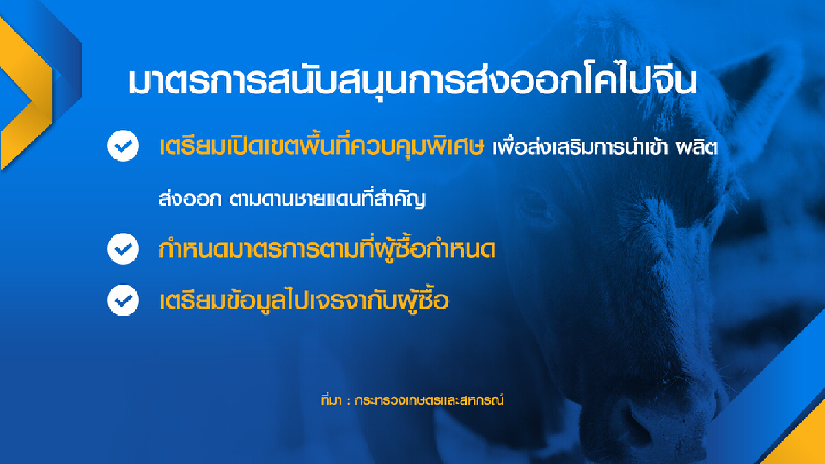 รัฐตั้ง ‘ปศุสัตว์ แซนด์บ็อกซ์‘ ดันส่งออกโคไปจีน