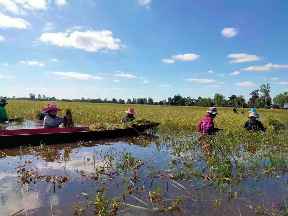 อีสานโพลเผยผลสำรวจ “นโยบายเศรษฐกิจที่โดนใจคนอีสาน”