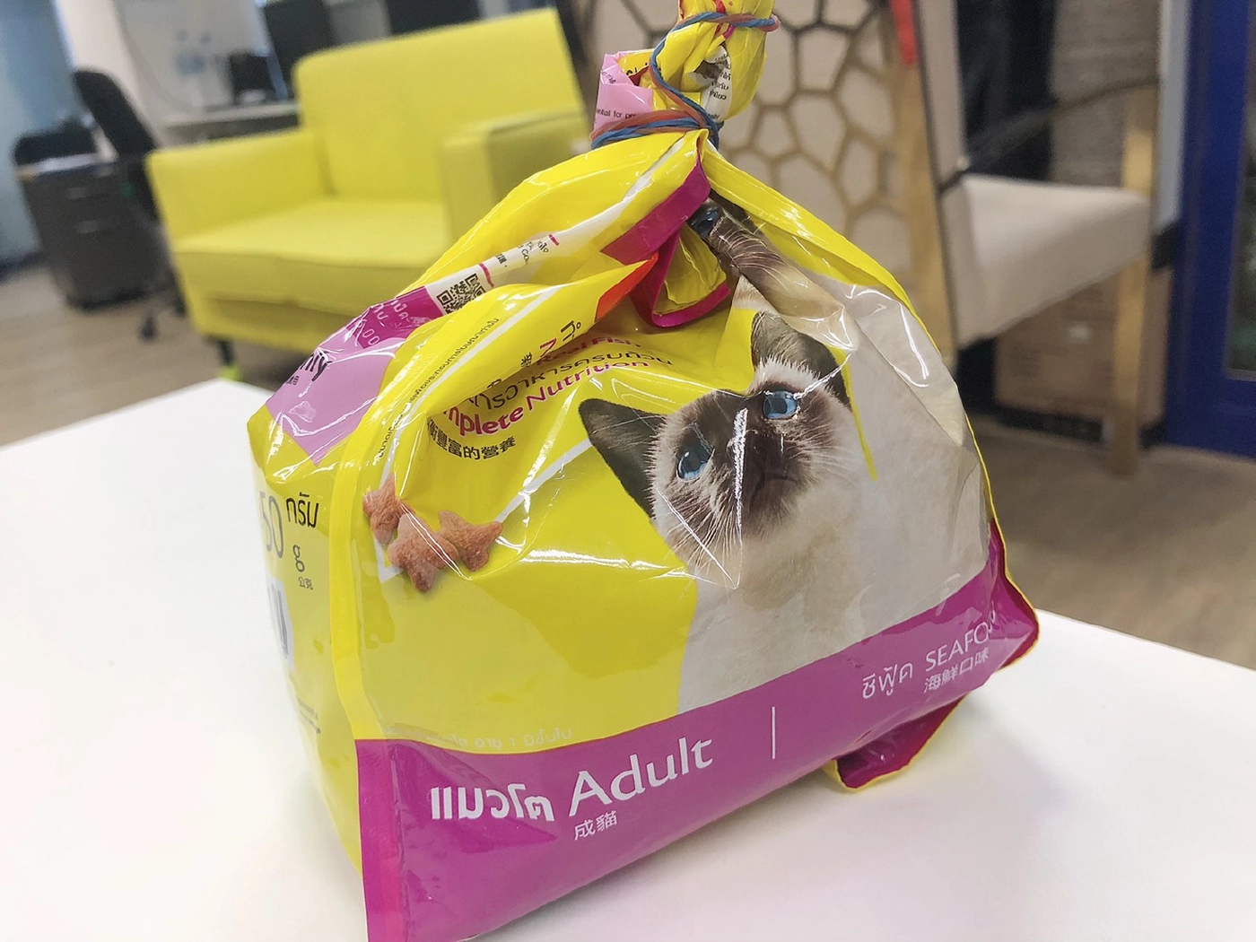 ทาสแมวหนุ่มม.5 สุดเศร้า หลังน้องแมวสุดที่รักจากไป วอนขอกำลังใจชาวเน็ต