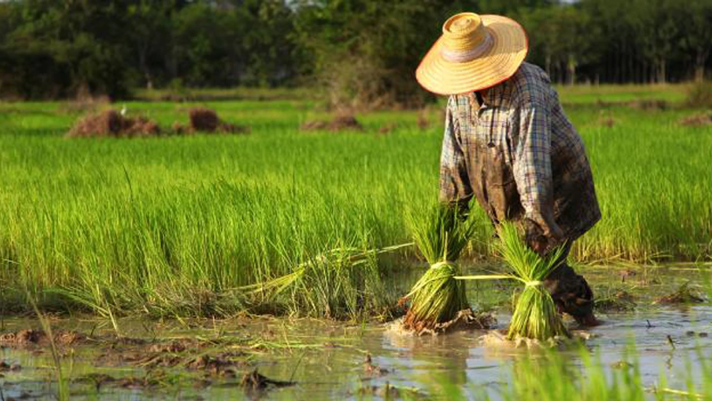 นายกฯ แจ้งข่าวดี! เตรียมชง ครม. ช่วยเหลือเกษตรกรเพิ่ม 155,000 ล้านบาท