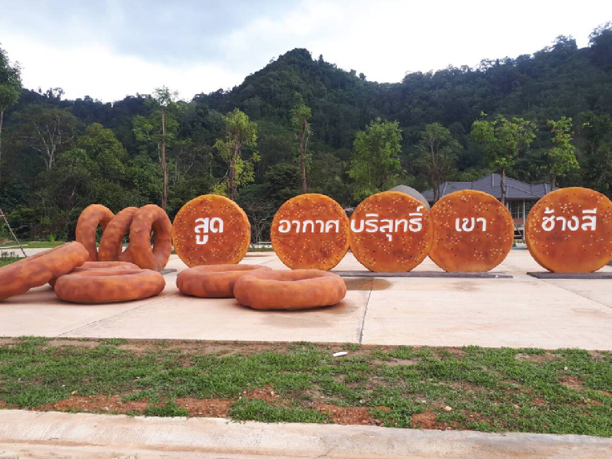 “ขับรถเที่ยว” หน้าหนาว เส้นทางสวย สีสันละลานตา