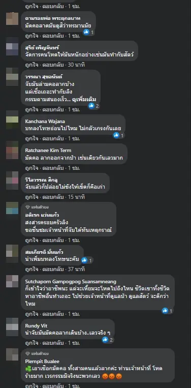 พญาเสือจับ 3 พรานแอบล่าลิงเสน ใช้เถาวัลย์มัดคอซากลากออกจากป่า