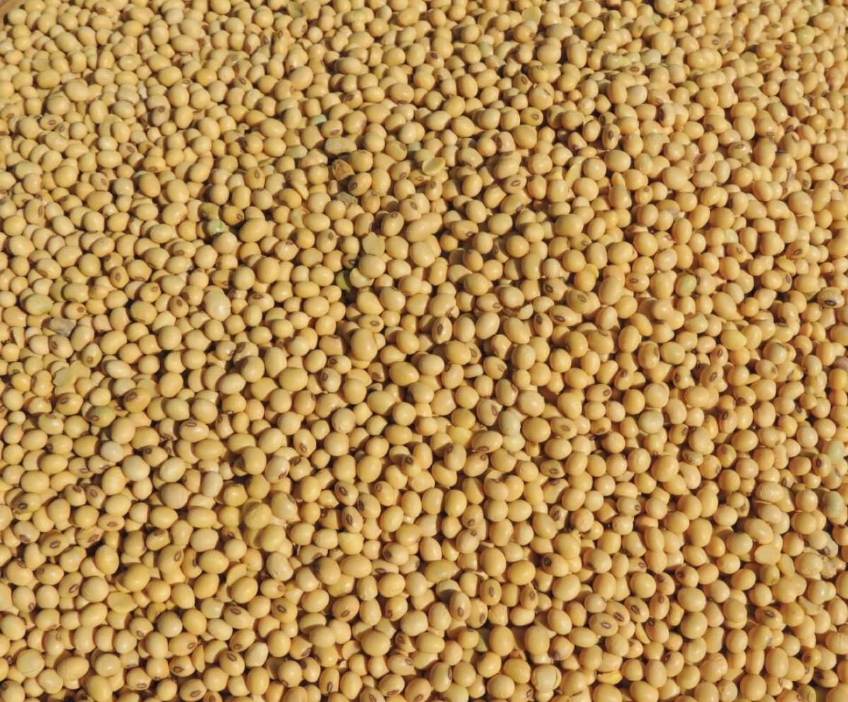 ผู้ผลิตอาหารสัตว์วอนกำหนด GAP เป็นมาตรฐานขั้นต่ำสินค้าเกษตร