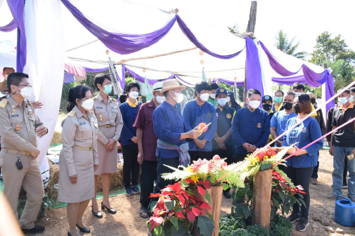 จัดกิจกรรม เอามื้อ เอาแฮง ร่วมแรงสามัคคีไทเลย