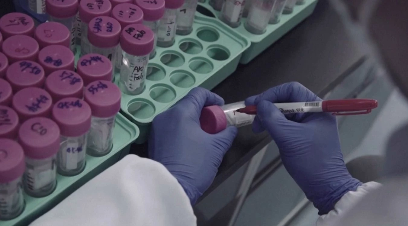 จีนใกล้อนุมัติจำหน่ายยาสูตรค็อกเทลต้านโควิดสิ้นปีนี้