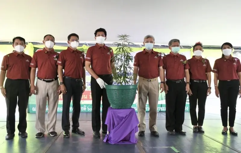 “สาธิต” หนุน วิสาหกิจชุมชน จ.ระยอง ปลูกกัญชาทางการแพทย์