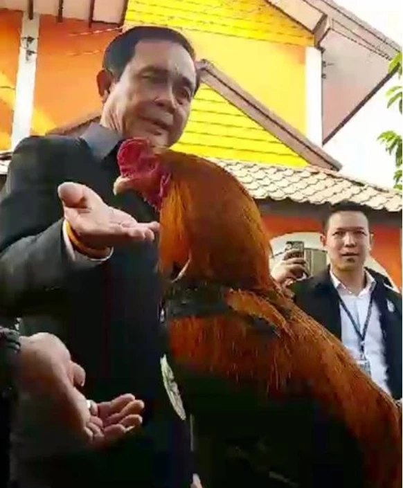 "เต้ มงคลกิตติ์" ท้านายกฯ ตีไก่เดิมพันบ้านเมือง ใครแพ้เลิกยุ่งการเมือง
