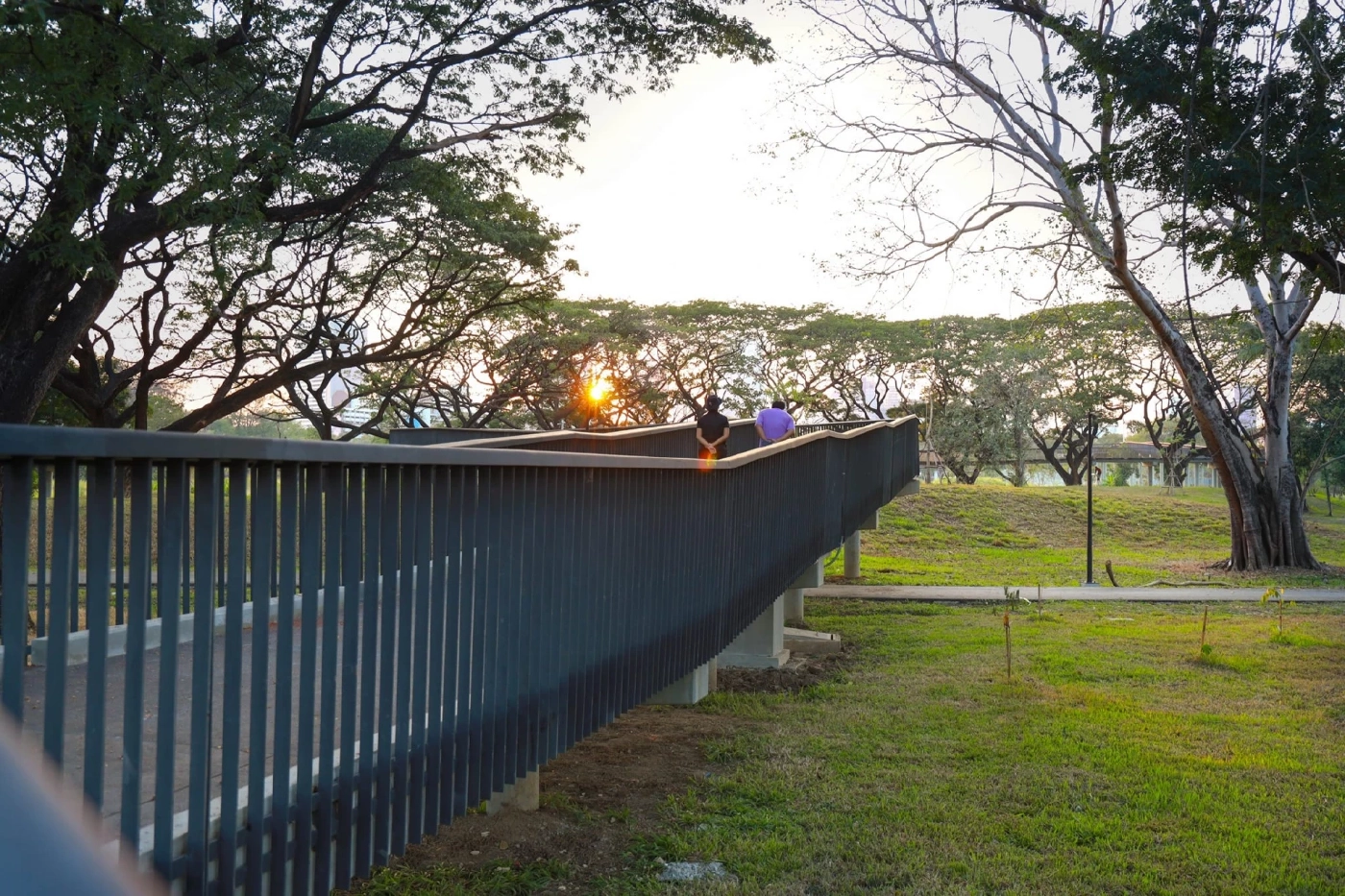 สวนป่า “เบญจกิติ” ปอดแห่งใหม่ของคนกรุงเทพฯ