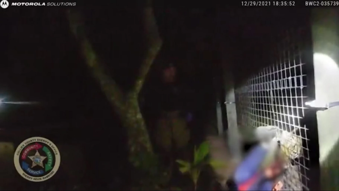 เรื่องเศร้า! เสือต้องตายเพราะคนไร้สำนึก