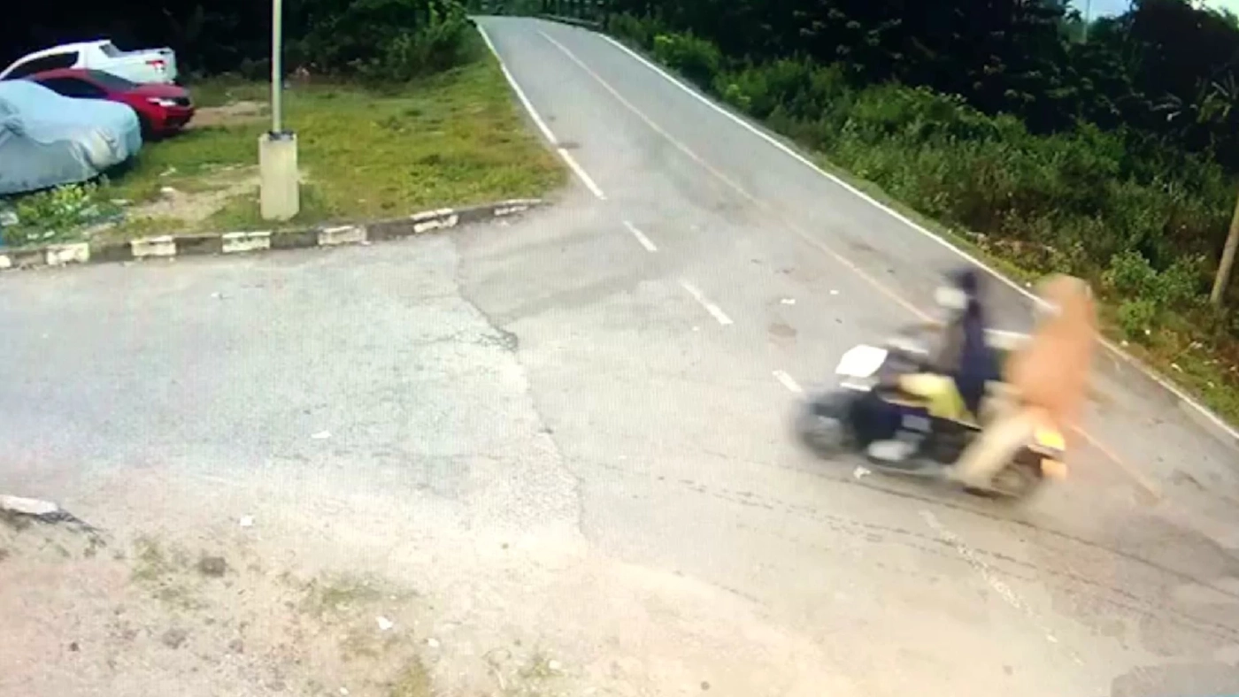 โจรใต้ป่วนหนัก! ลอบวางระเบิดฐาน นปพ.รือเสาะ