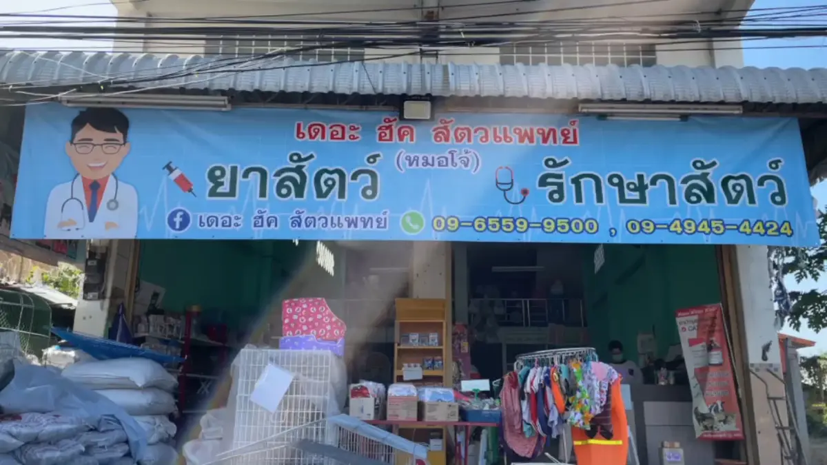 ร้านขายเสื้อผ้าสุนัข-แมวคึกคักรับลมหนาว