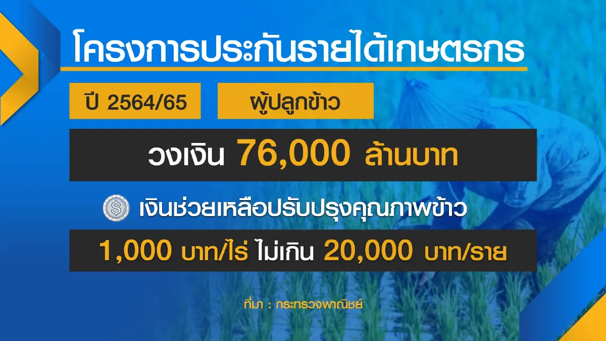 ครม.อัด 8 หมื่นล้านจ่ายเงินชาวนา 31 งวด
