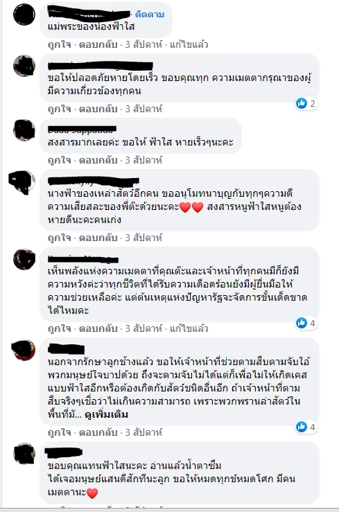 ต๊ะ นารากร โพสต์เศร้าหลังทราบข่าวช้างน้อยวัย 3 เดือน พังฟ้าใสตายแล้ว