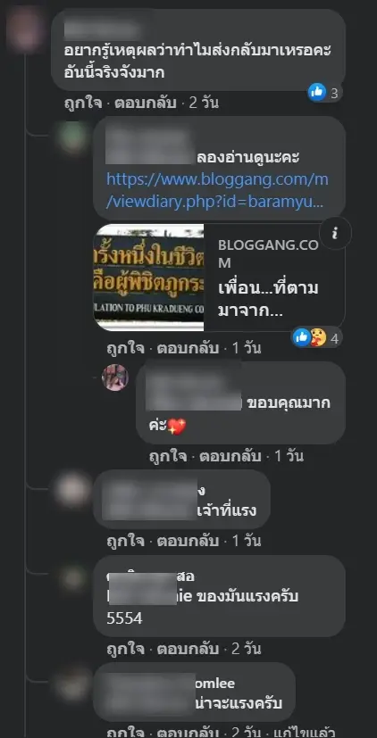 “นทท.” ส่งใบเมเปิ้ลคืน “ภูกระดึง” ชาวเน็ตสงสัยเจออาถรรพ์อะไรหรือเปล่า?