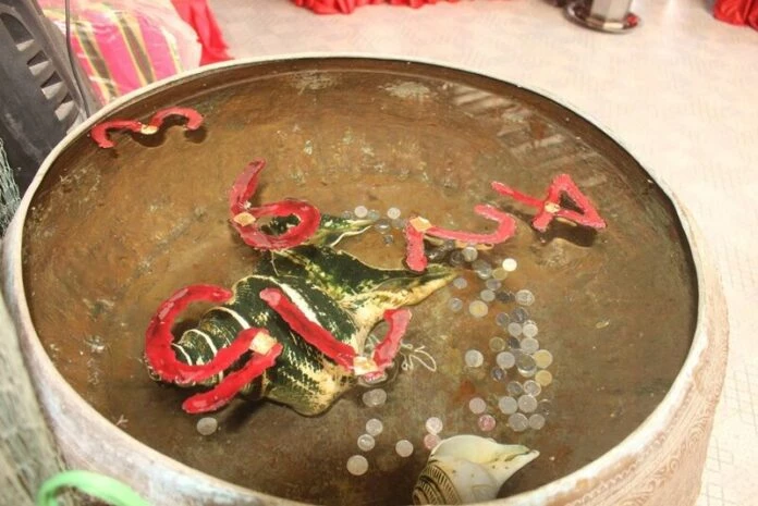 ฤาษีเณร